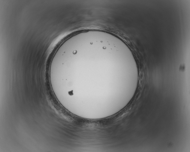 X0000116650200200912291623