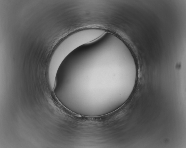 X0000116650201200912291623