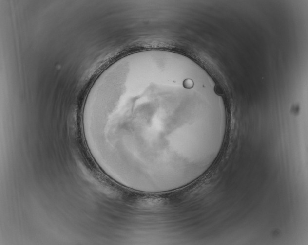 X0000116650202200912291623