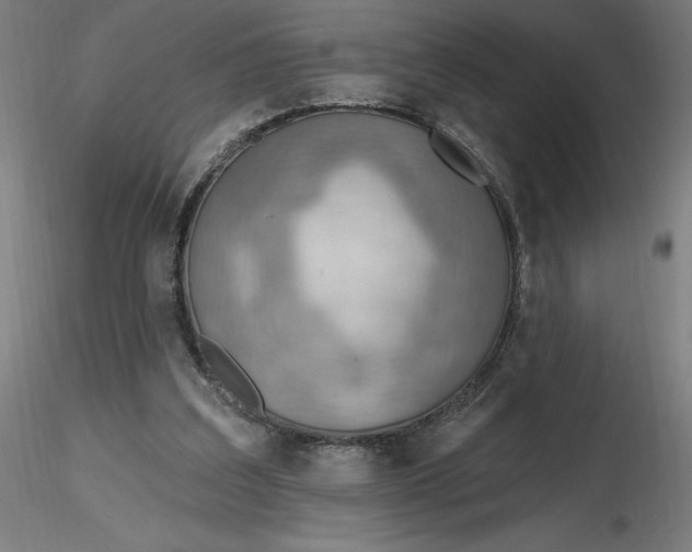 X0000116650203200912291623