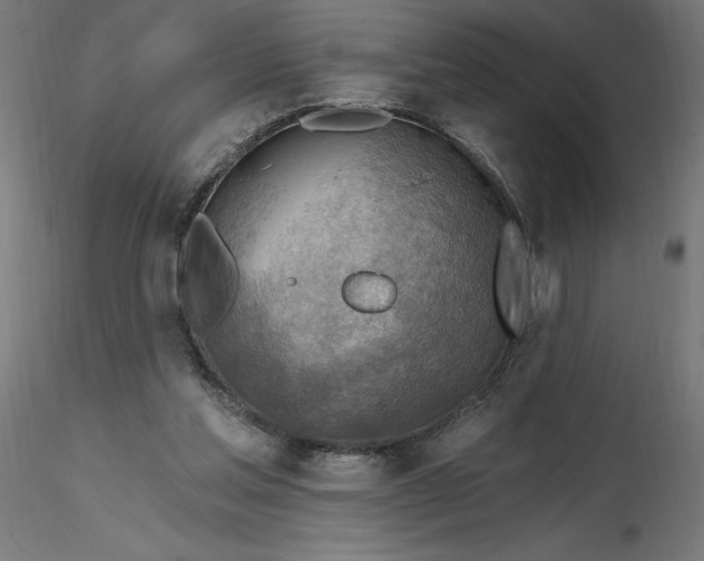 X0000116650205200912291623