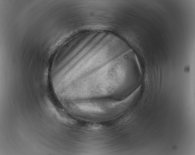 X0000116650206200912291623