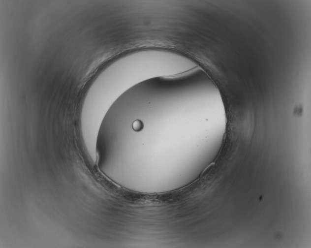 X0000116650207200912291623