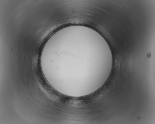 X0000116650208200912291623