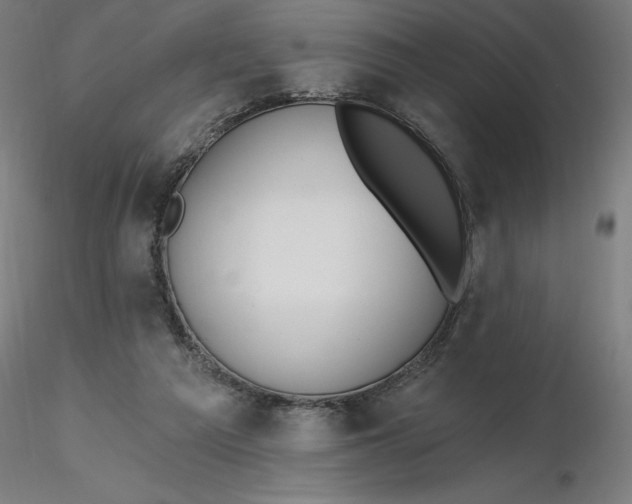 X0000116650209200912291623