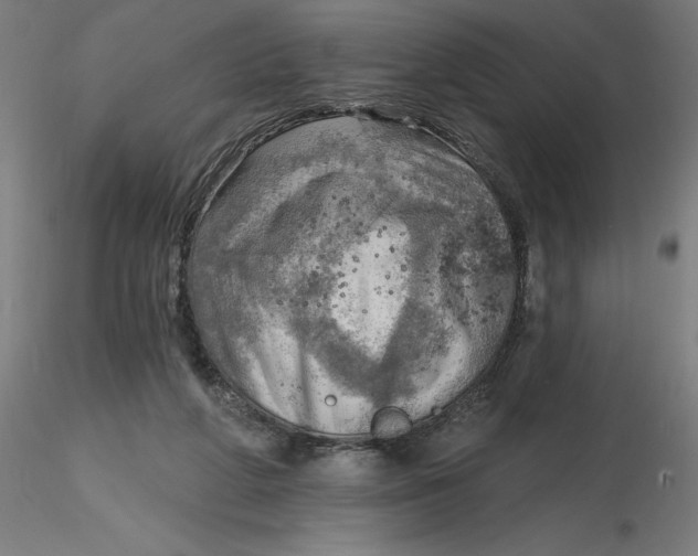 X0000116650210200912291623