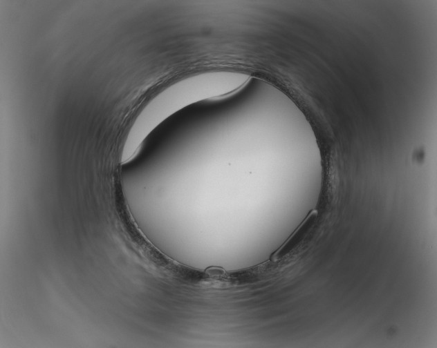 X0000116650211200912291623