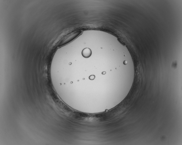 X0000116650212200912291623