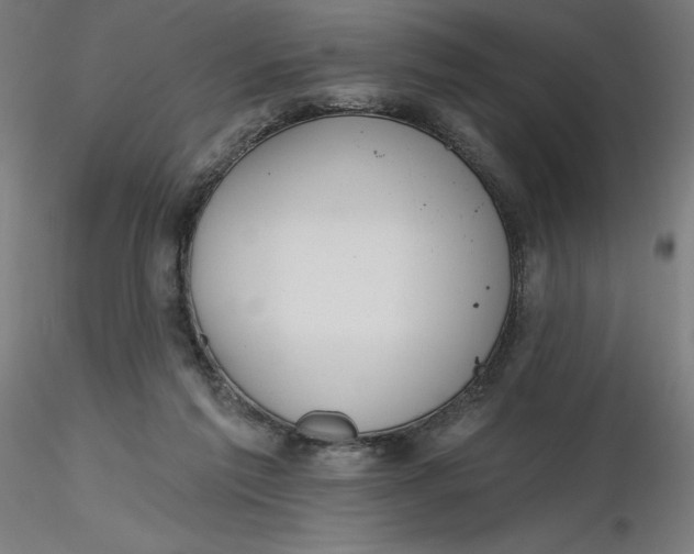 X0000116650213200912291623