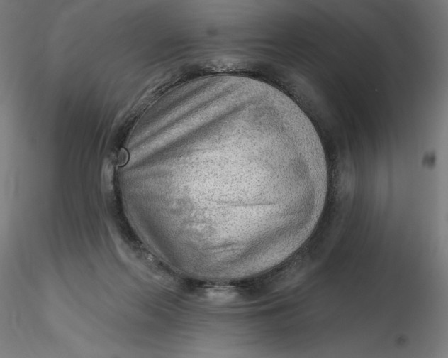 X0000116650214200912291623