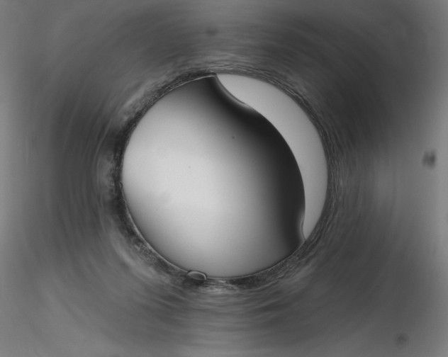 X0000116650215200912291623