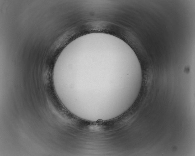 X0000116650216200912291623