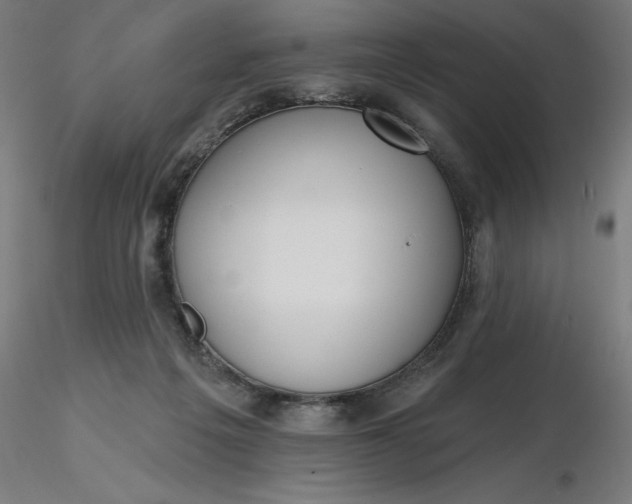 X0000116650217200912291623