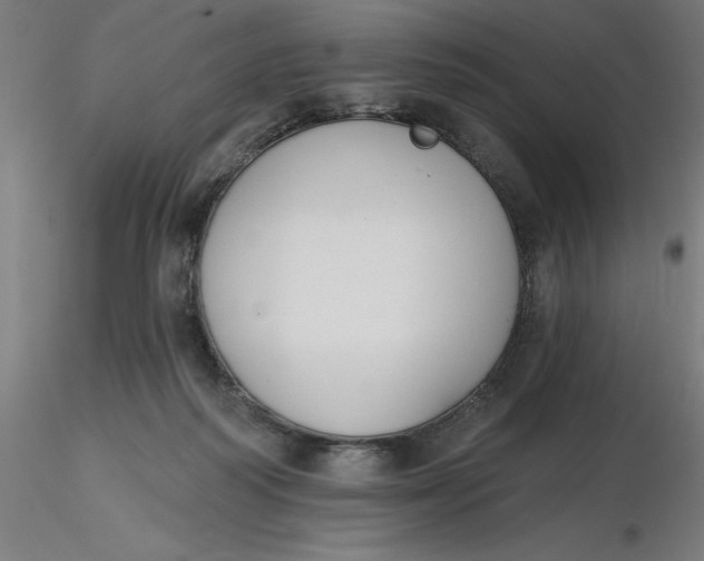 X0000116650218200912291623