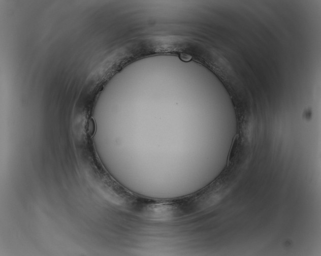 X0000116650219200912291623