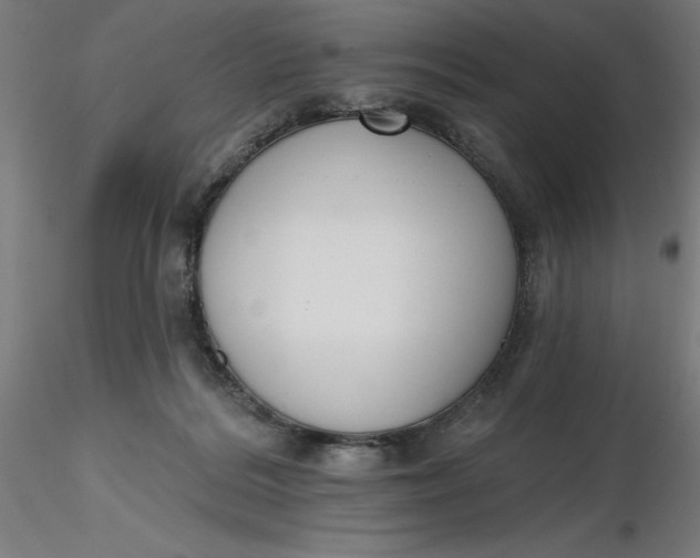 X0000116650220200912291623