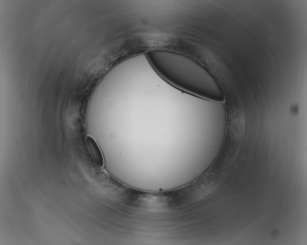 X0000116650221200912291623