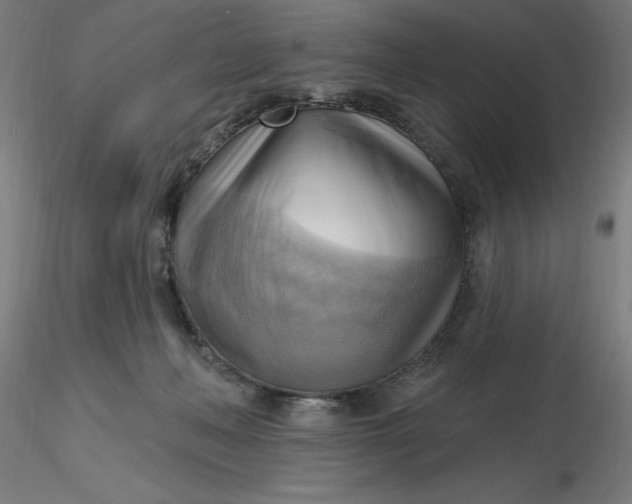 X0000116650222200912291623