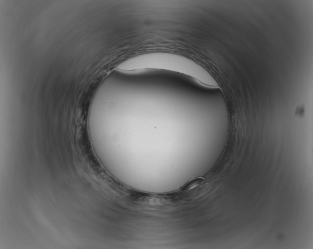 X0000116650223200912291623