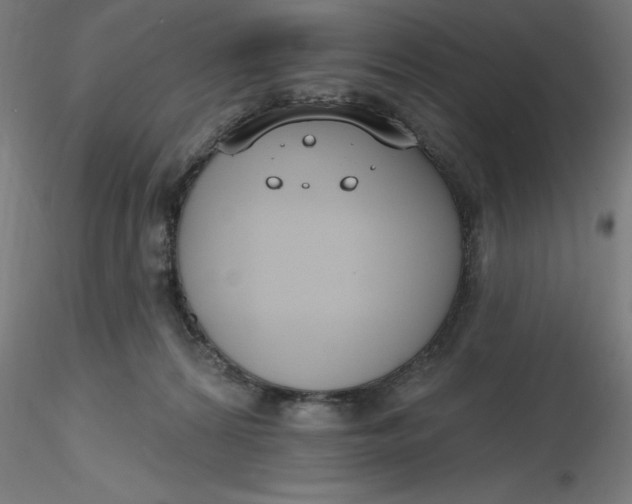 X0000116650224200912291623