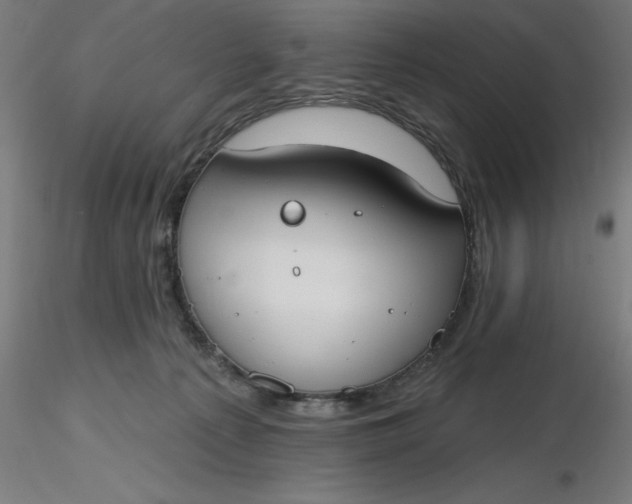 X0000116650225200912291623