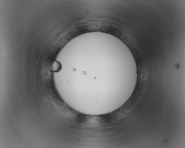 X0000116650226200912291623