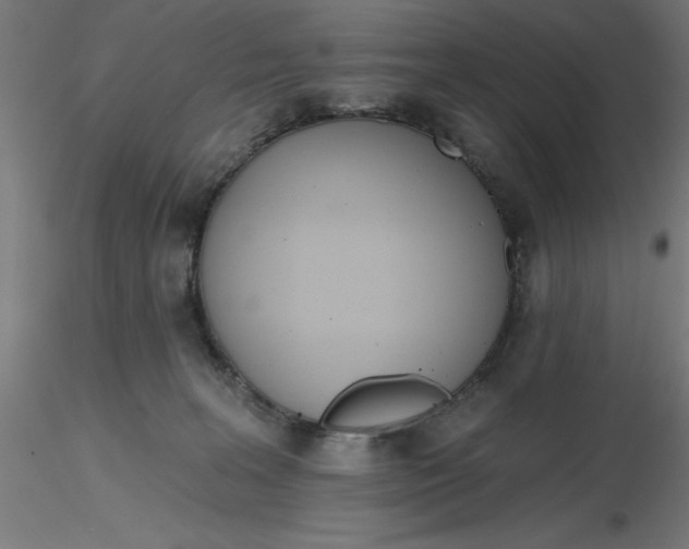 X0000116650227200912291623