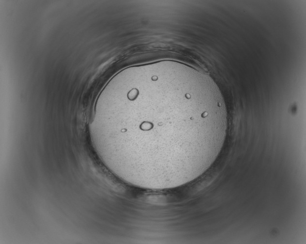 X0000116650228200912291623