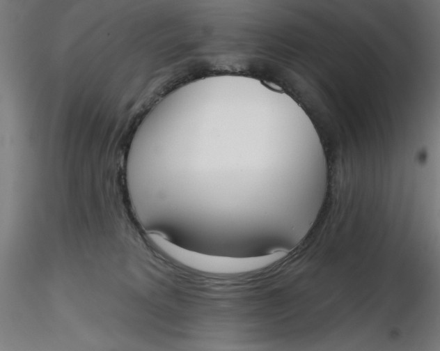 X0000116650229200912291623