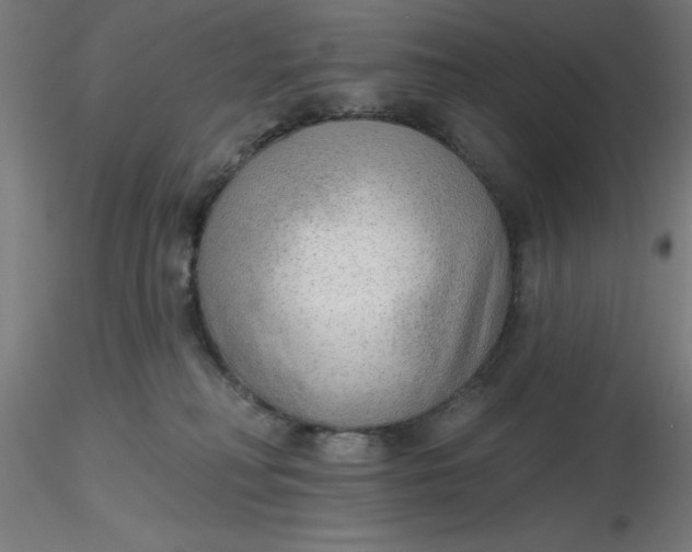 X0000116650230200912291623