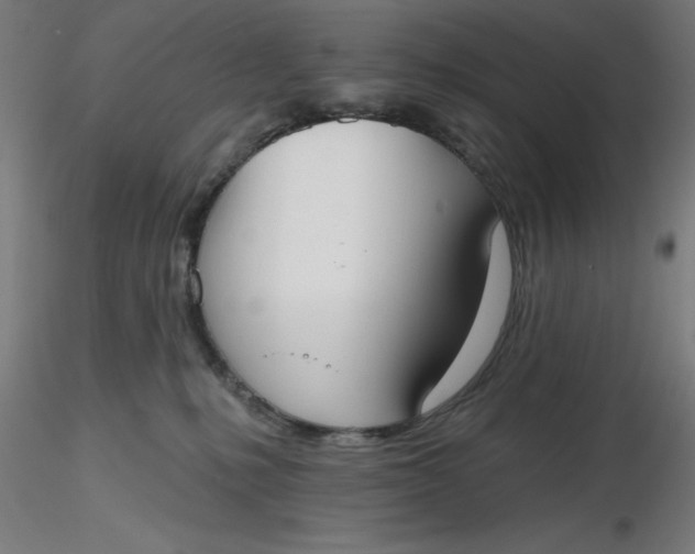 X0000116650231200912291623