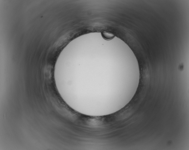 X0000116650232200912291623