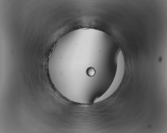 X0000116650233200912291623