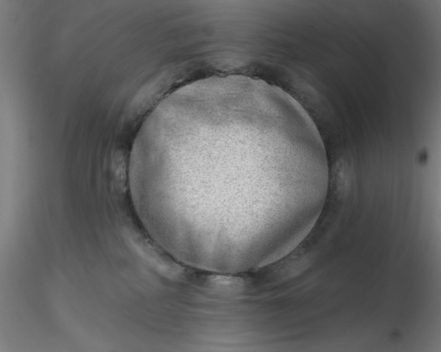 X0000116650234200912291623