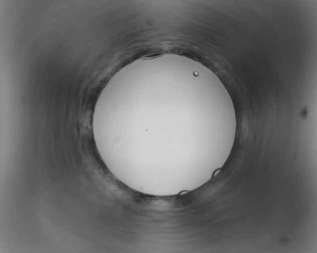 X0000116650236200912291623