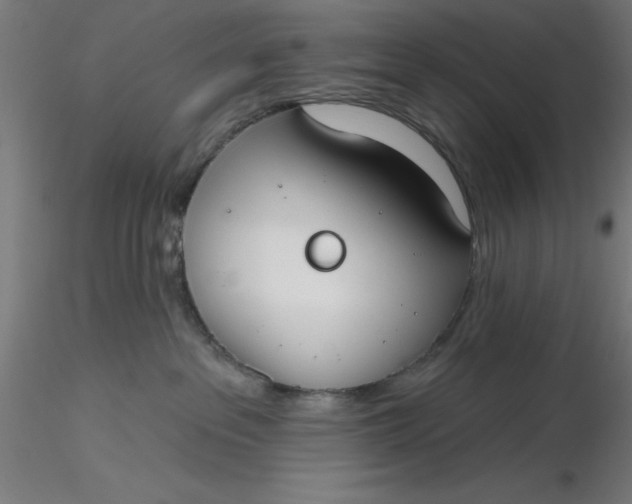 X0000116650237200912291623