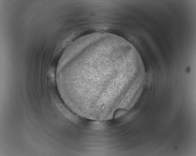 X0000116650238200912291623