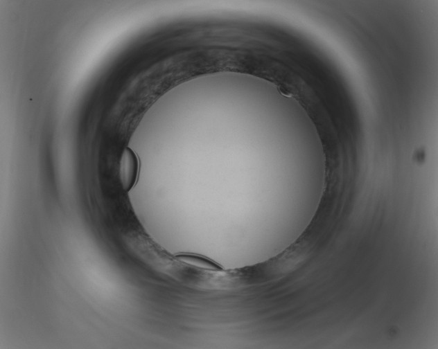 X0000116650239200912291623