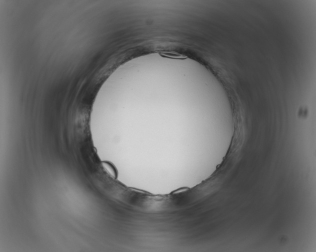 X0000116650240200912291622