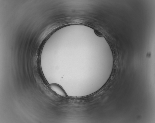 X0000116650242200912291622