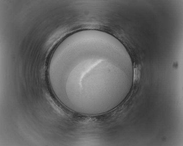 X0000116650243200912291622