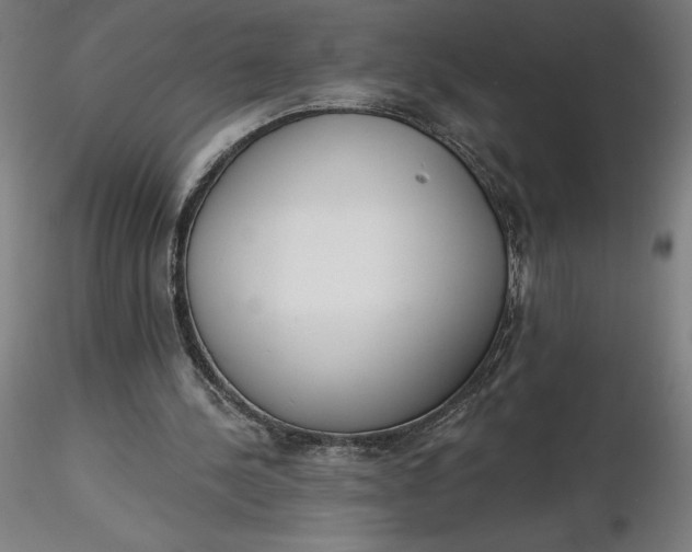 X0000116650244200912291622