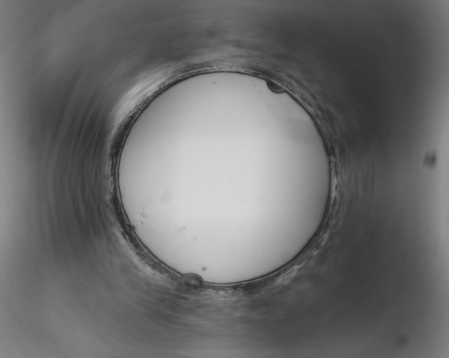 X0000116650245200912291622