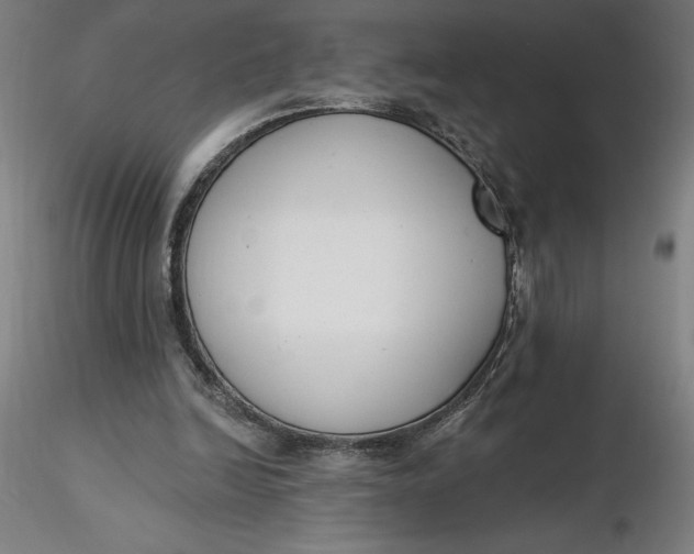 X0000116650246200912291622