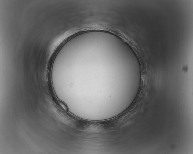 X0000116650248200912291622