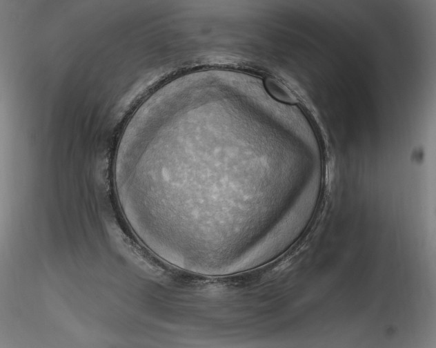 X0000116650249200912291622