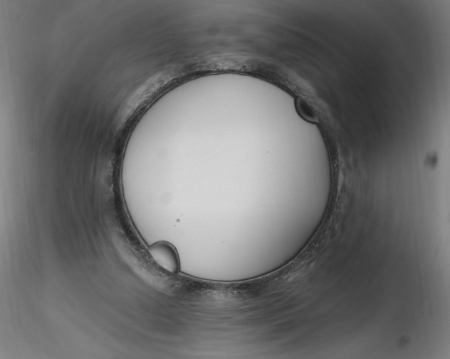 X0000116650250200912291622