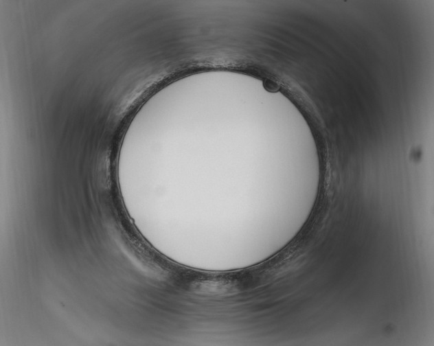 X0000116650251200912291622