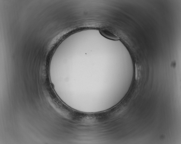 X0000116650252200912291622