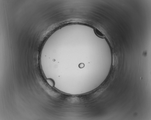 X0000116650253200912291622